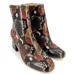 Never worn Steve Madden bootie